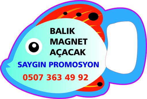  BALIK MAGNET AÇACAĞIN TASARIM ÖRNEĞİ